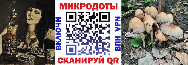 Псилоцибиновые грибы Psilocybine cubensis  Городовиковск 